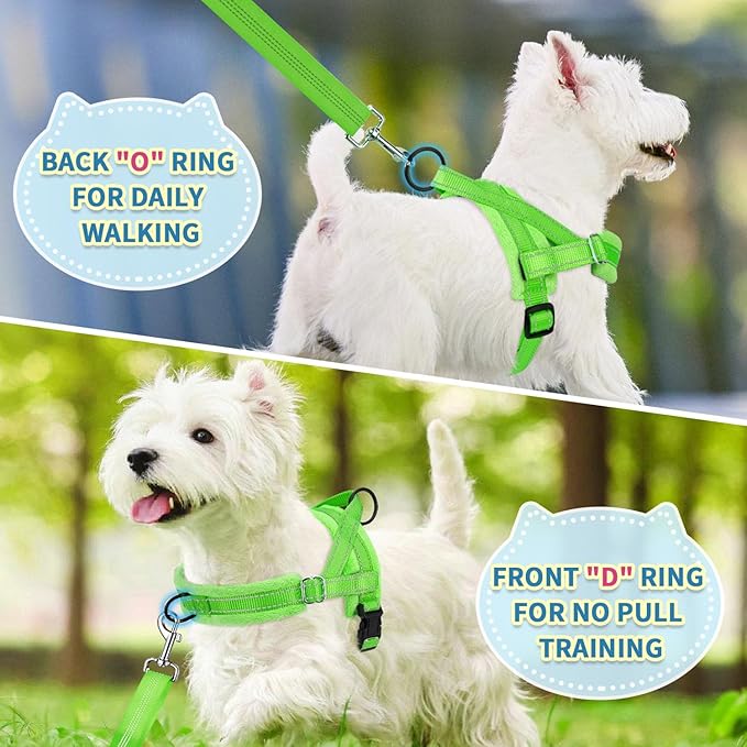 SlowTon No Pull Small Dog Harness and Leash Set, Puppy Soft Vest Harness Neck & - Image 4