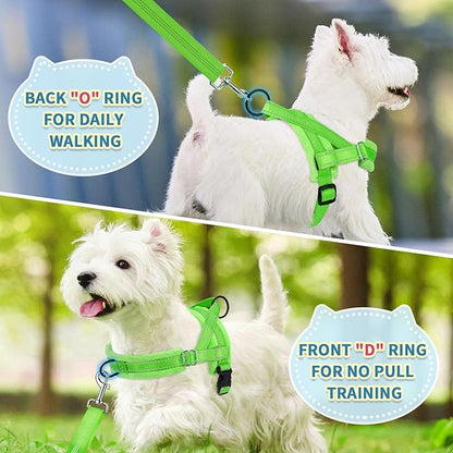 SlowTon No Pull Small Dog Harness and Leash Set, Puppy Soft Vest Harness Neck & - Image 4