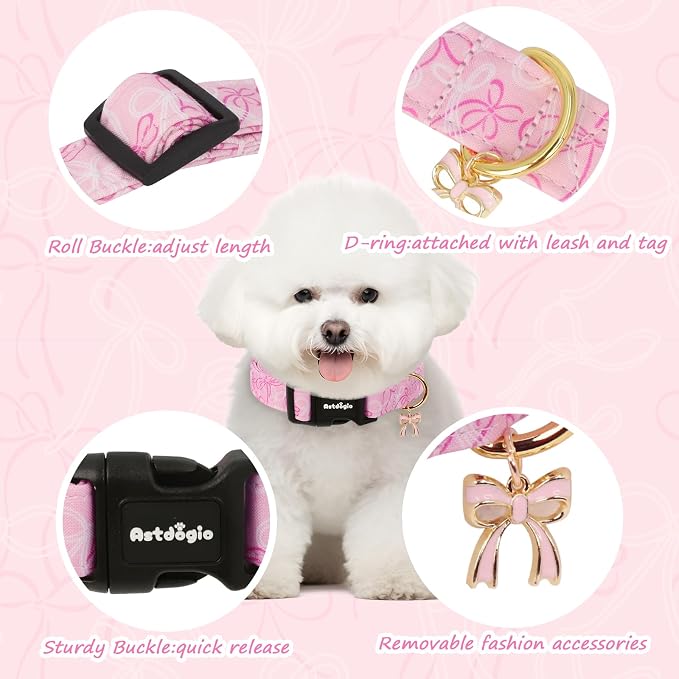 Small Dog Collar, Girl Boy Dog Collars - Image 2