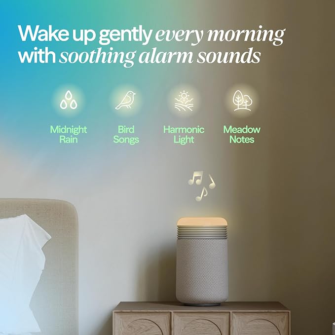 BLUEAIR Purifier for Bedroom - Image 5