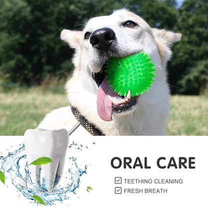 SHARLOVY Squeaky Balls for Dogs Small, Fetch Balls Rubber 3 Pack Bright Colors - Image 6