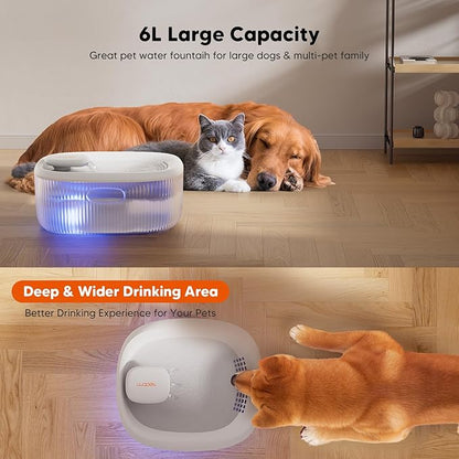 WOPET Dog Water Fountain for Large Dogs, 6L/205oz/1.7Gal Dog Water Bowl - Image 2