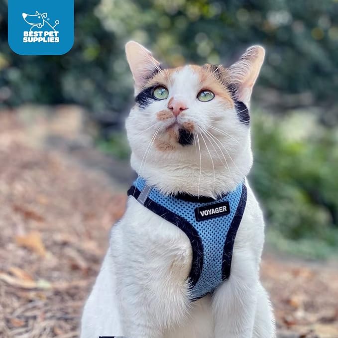 Best Pet Supplies Voyager Step-in Air Harness - Image 10