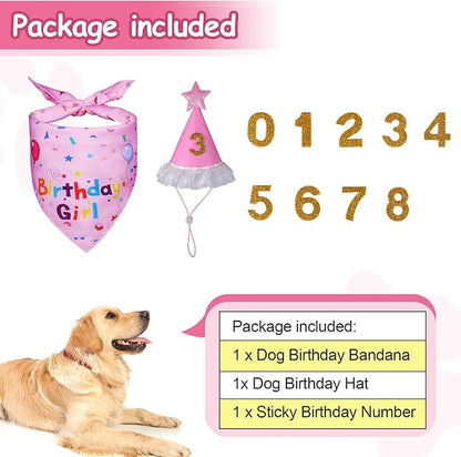 Dog Boy Girl Birthday Party Hat, Dog Birthday Party Supplies, Doggie Birthday - Image 2