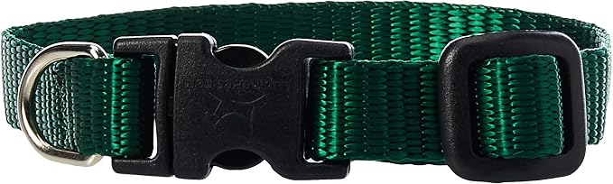 LupinePet Basics 1/2" Green 6-9" Adjustable Collar by LupinePet