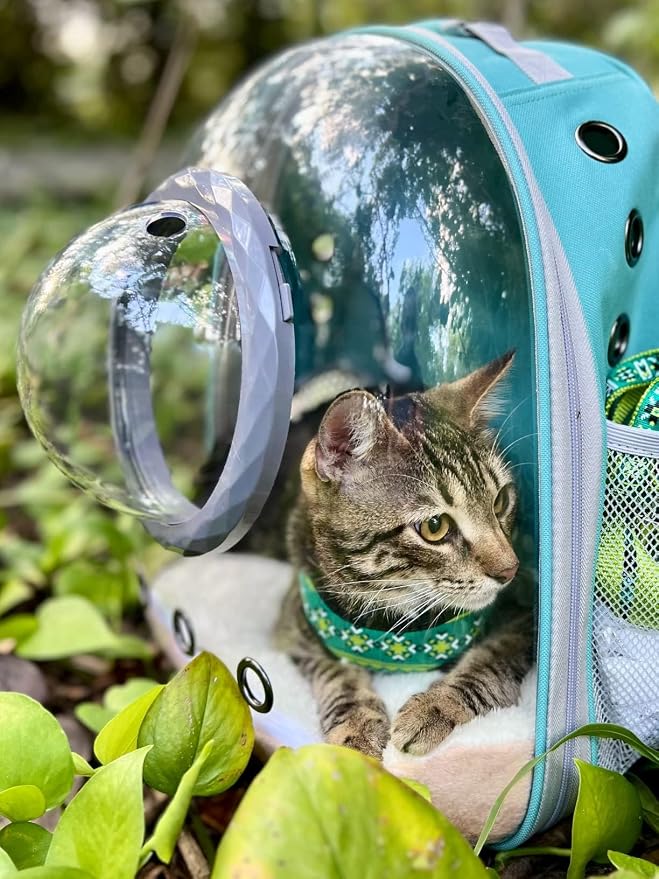 Pet Carrier Backpack for Kitten, Small Puppy and Bunny, Backpack for Kitten - Image 5