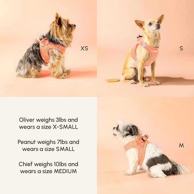Downtown Pet Supply Step in Dog Harness - Image 6