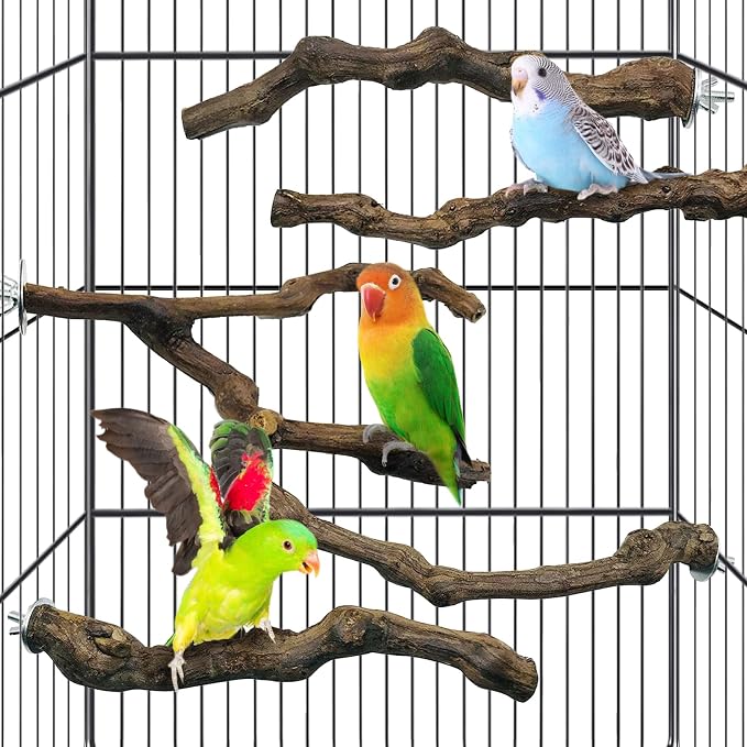 kathson 5pcs Natural Parrot Perch by kathson