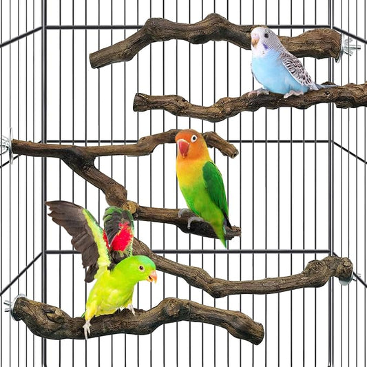 kathson 5pcs Natural Parrot Perch by kathson
