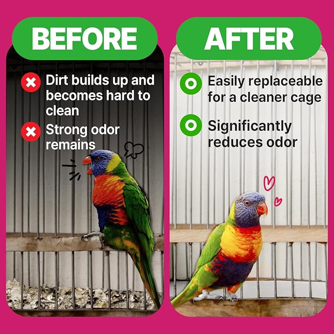 Bird Cage Liner - Image 3