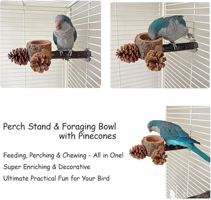 2 Pcs Bird Perch with Safe Bowl Wood & Pinecones - Image 5