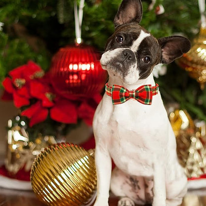 Dog Collar - Christmas Red Plaid Dog Collars Bowtie Gift Soft Bow Collar - Image 5