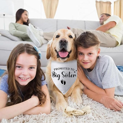 Promoted to Big Sister Pregnancy Announcement Dog Bandana Baby Gender Reveal - Image 4