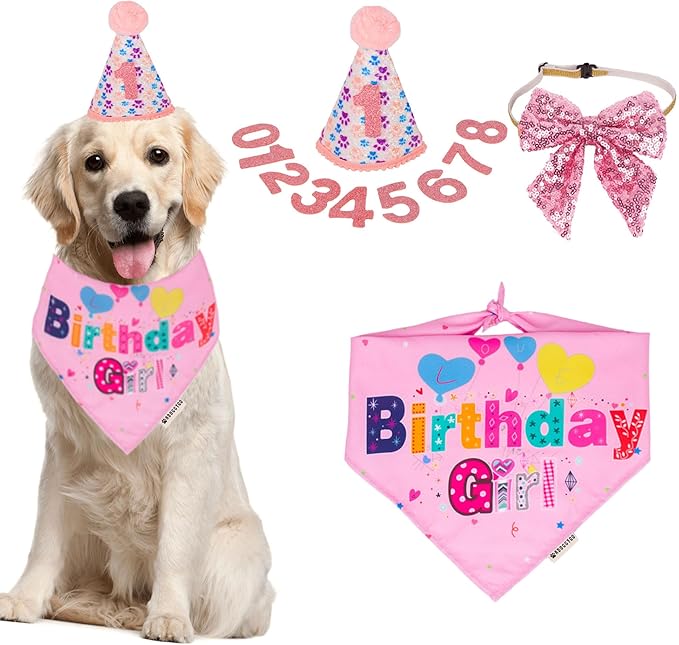ADOGGYGO Dog Birthday Party Supplies by ADOGGYGO