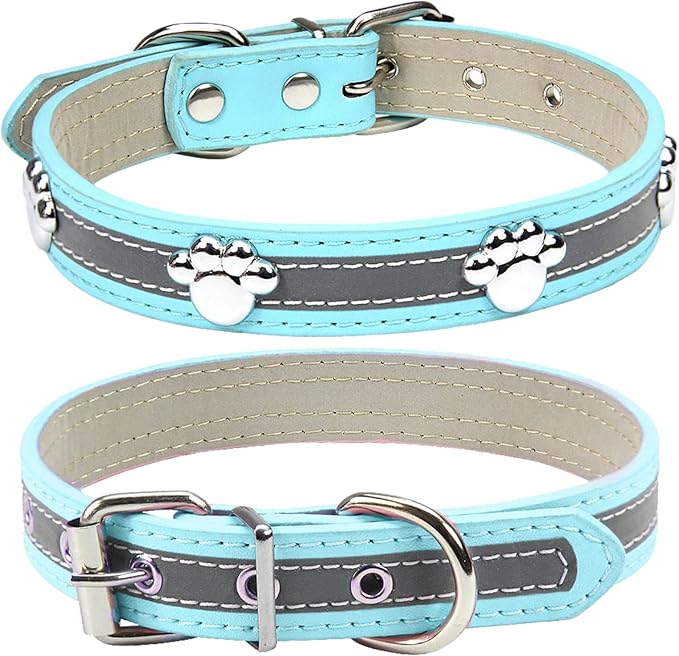 PETCARE Reflective Dog Collar by PETCARE
