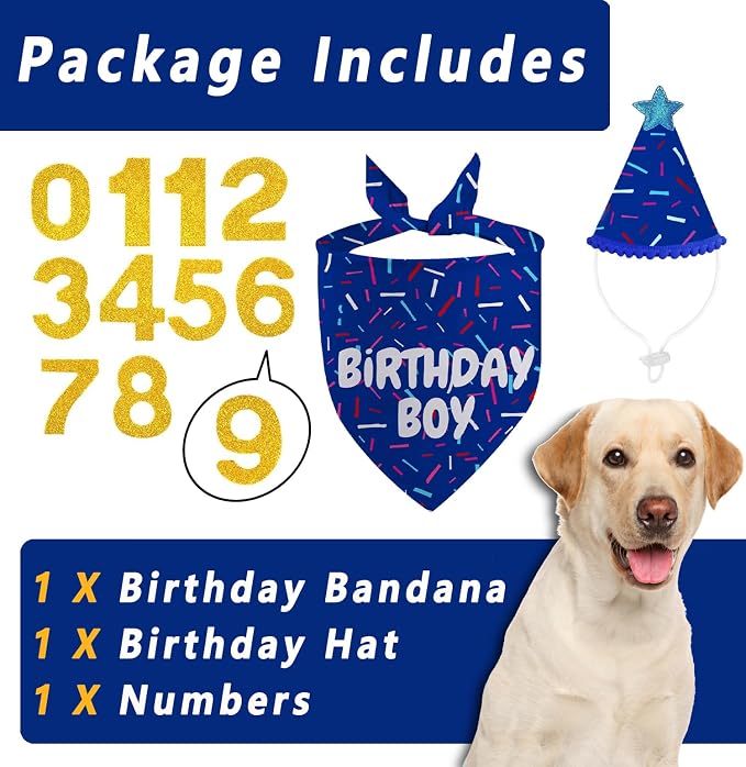 Dog Birthday Bandana Set, HBD Party Supplies - Image 3