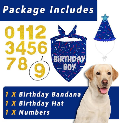 Dog Birthday Bandana Set, HBD Party Supplies - Image 3