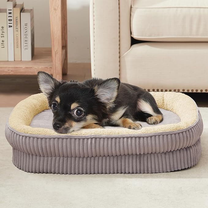 Orthopedic Dog Bed for Puppy, Extra Small Dogs Breeds, Oval Cat Bed, High by DEBANGHOME