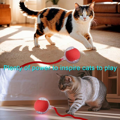 Interactive Cat Dog Toy Ball: Indoor Small Automatic Moving Smart Rolling Fun - Image 7