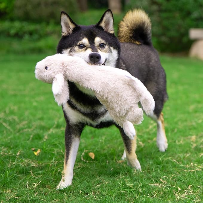 Best Pet Supplies Squeaky Dog Toys - Image 6