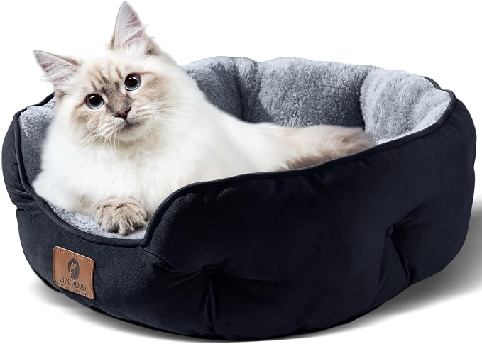Asvin Medium Dog Bed for Medium Dogs, Large Cat Beds for Indoor Cats, Pet Bed - Image 2