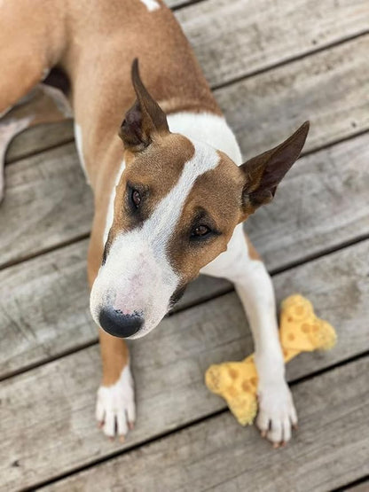 Nylabone Cheese Bone Power Chew Toy - Image 8