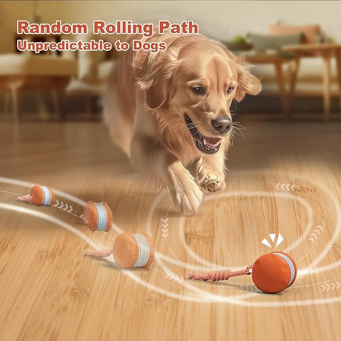 Interactive Dog Toys, Random Path Electric Automatic Moving and Rolling Dogs Toy - Image 2