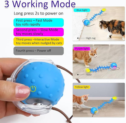 Interactive Cat Toys Ball for Indoor Cats Fast Rolling on Carpet, Chirping & - Image 4