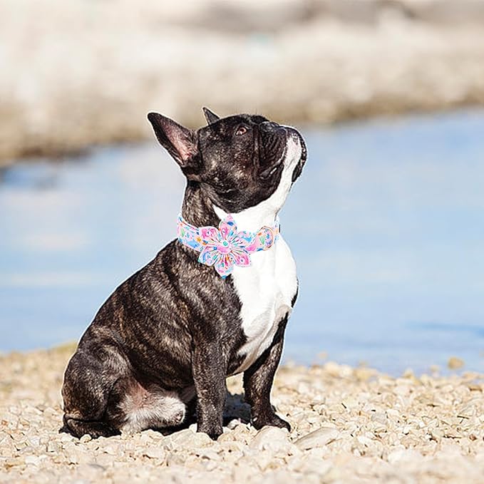 Lionheart glory Dog Collar Flower Collar Pink Dog Collars - Image 6