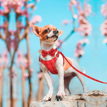 Beirui Cute Extra Small Dog Harness Collar and Leash Set - Image 4
