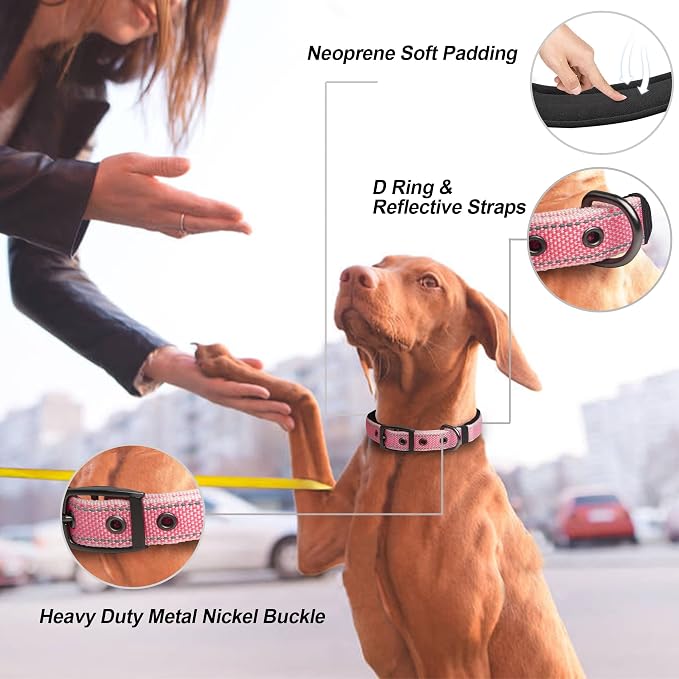 PetiFine Neoprene Padded Dog Collar, Heavy Duty Comfort Dog Collar - Image 2