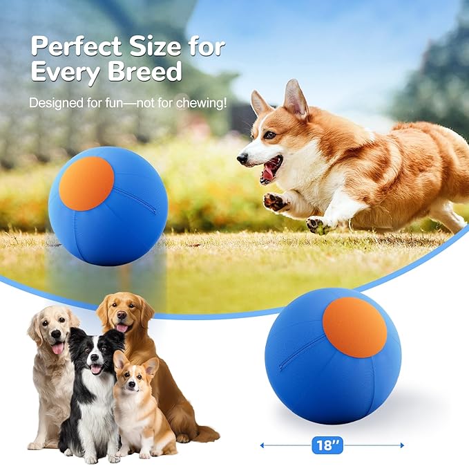 ZIDA 18" Herding Ball for Dogs and Horses - Image 6