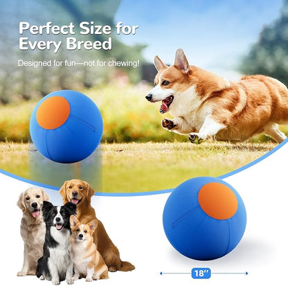ZIDA 18" Herding Ball for Dogs and Horses - Image 6