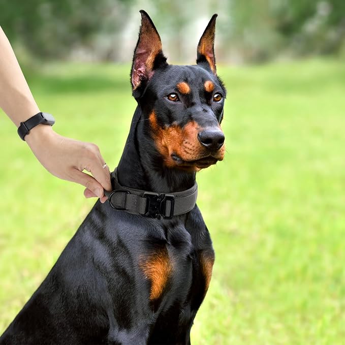 Tactical Dog Collar, Adjustable Military Training Nylon Dog Collar - Image 6