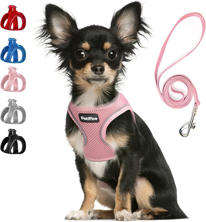 PetiFine Step in Small Dog Harness and Leash Set, Breathable All Weather Air by PetiFine
