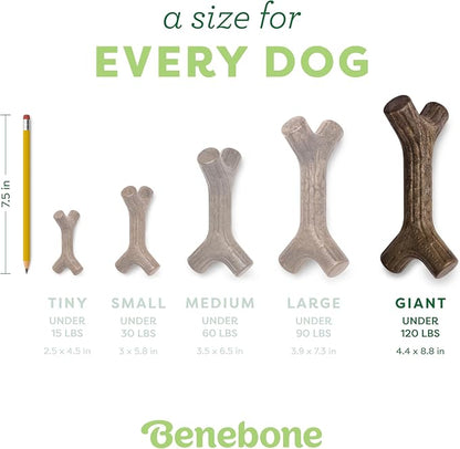 Benebone Maplestick Durable Dog Chew Toy - Image 4