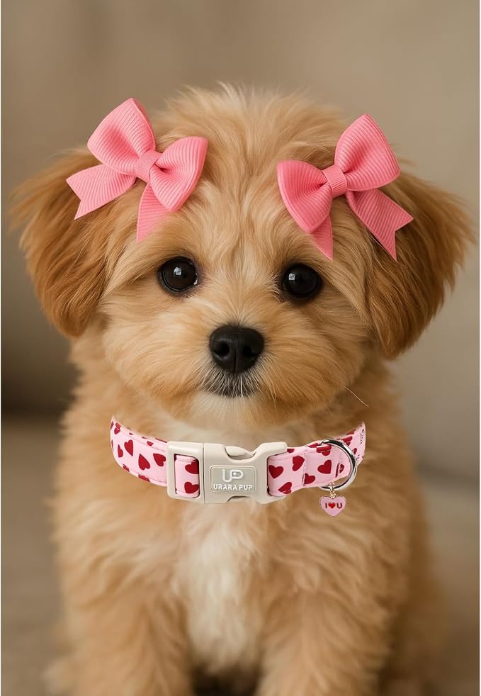 Valentine's Dog Collar, UP URARA PUP Pink Love Heart Adjustable Pet Collar - Image 5