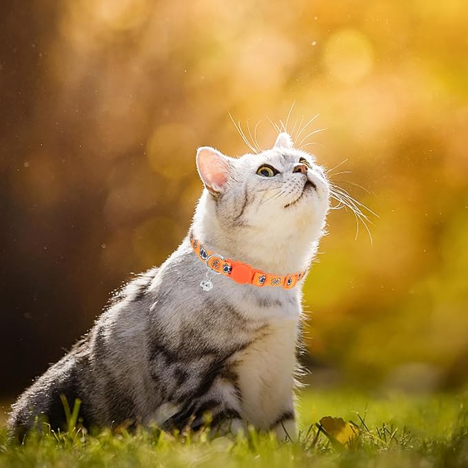 PUPTECK Breakaway Halloween Cat Collar - Image 6