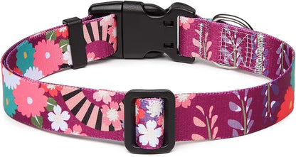 Mercano Adjustable Dog Collar - Image 2