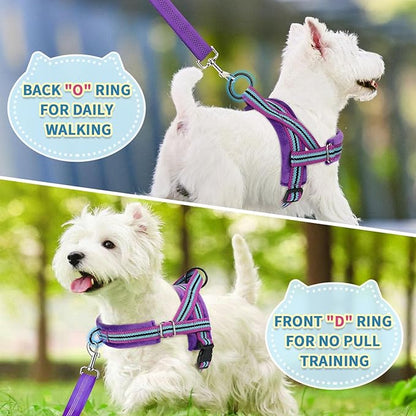 SlowTon No Pull Small Dog Harness and Leash Set, Puppy Soft Vest Harness Neck & - Image 4