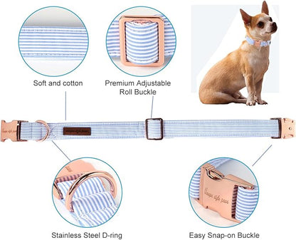 Unique style paws Dog Collar Metal Buckle Blue Stripe Collar Gift Durable Cute - Image 2