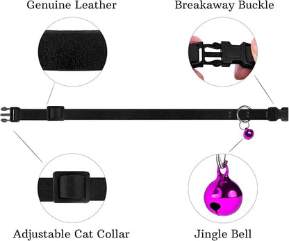 Breakaway Cat Collar Leather - Image 4