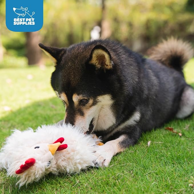 Best Pet Supplies Interactive Squeaky Dog Chew Toy, Ideal Dog Toys - Image 7