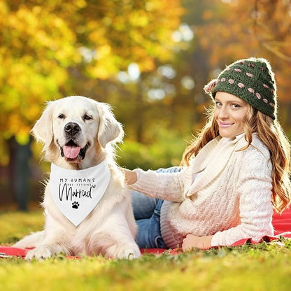 My Parents are Getting me a Human, Pregnancy Announcement Dog Bandana, Gender - Image 5