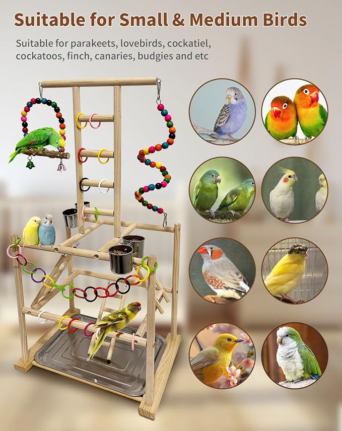 Bird Play Stand, Large Parakeet Playground, Natural Wood Parrot Perch Stand - Image 7