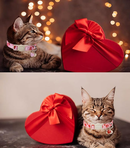 Cat Collar, 2 Pack Cat Collars Breakaway - Image 5
