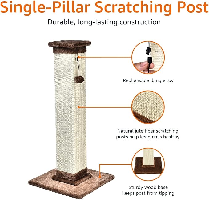 Amazon Basics Sturdy Cat Scratching Post - Image 2