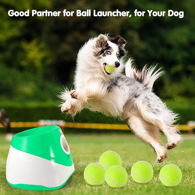 6 Pack Mini Tennis Balls for Pet Playing Fecth, 2 inch Dogs Training Tennis - Image 3
