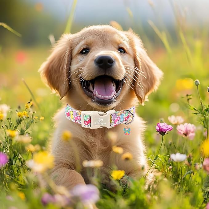 Easter Dog Collar for Puppy Small Dogs - Image 7