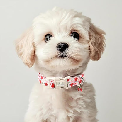 Lucky Ladybug Dog Collar for Medium Dogs - Image 5